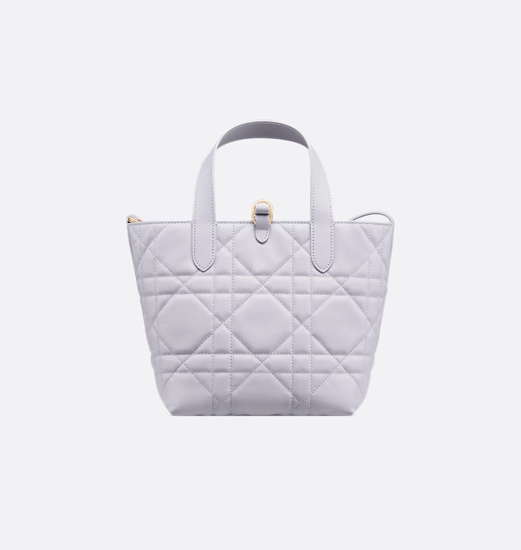 Dior Toujours Vertical Tote Bag
