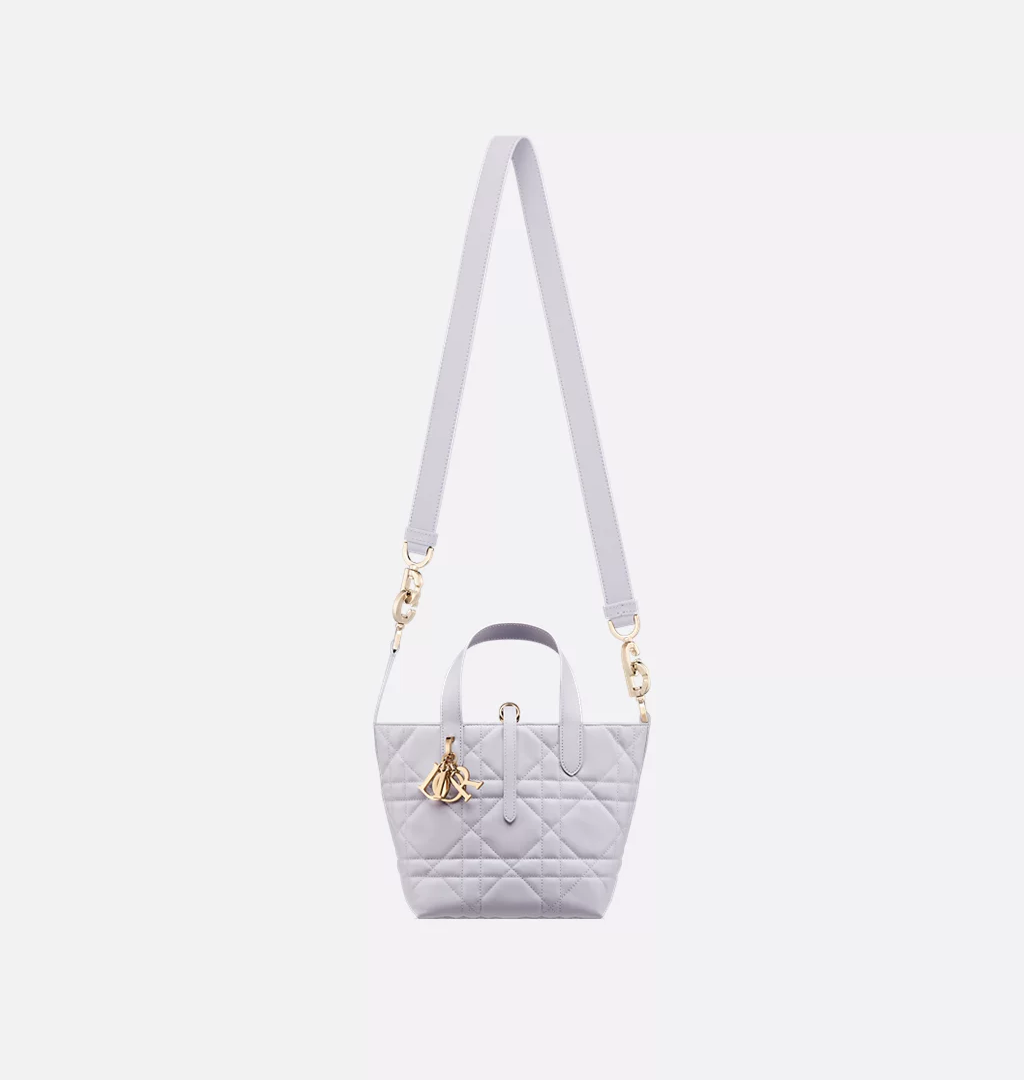 Dior Toujours Vertical Tote Bag