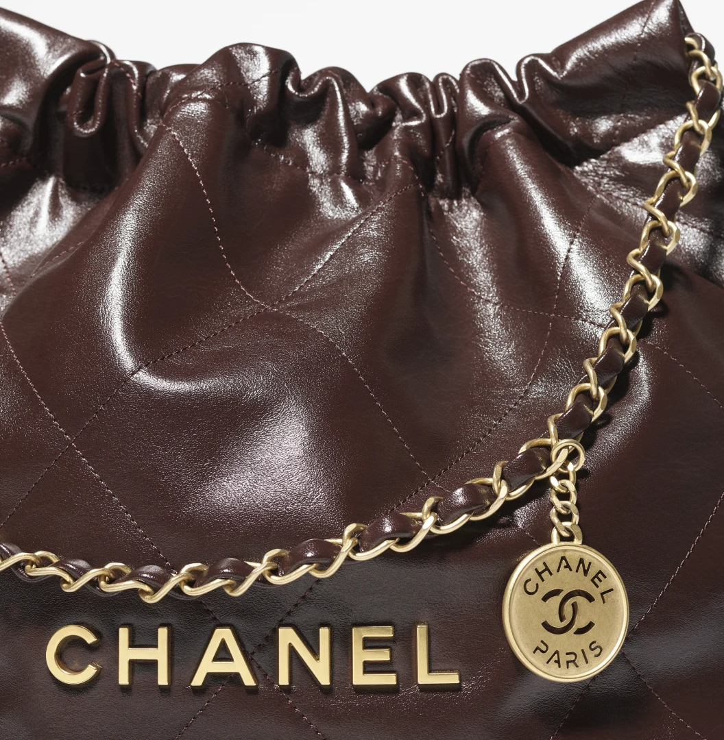 CHANEL 22 Handbag
