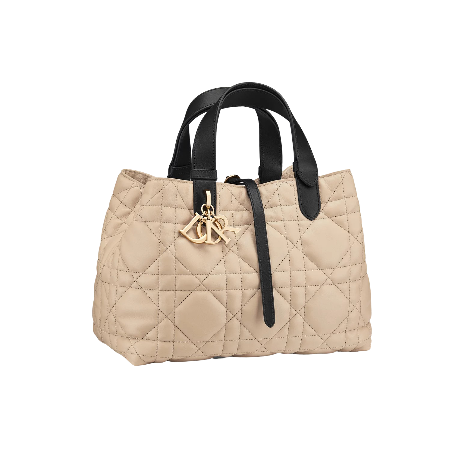 Dior Tojours Medium