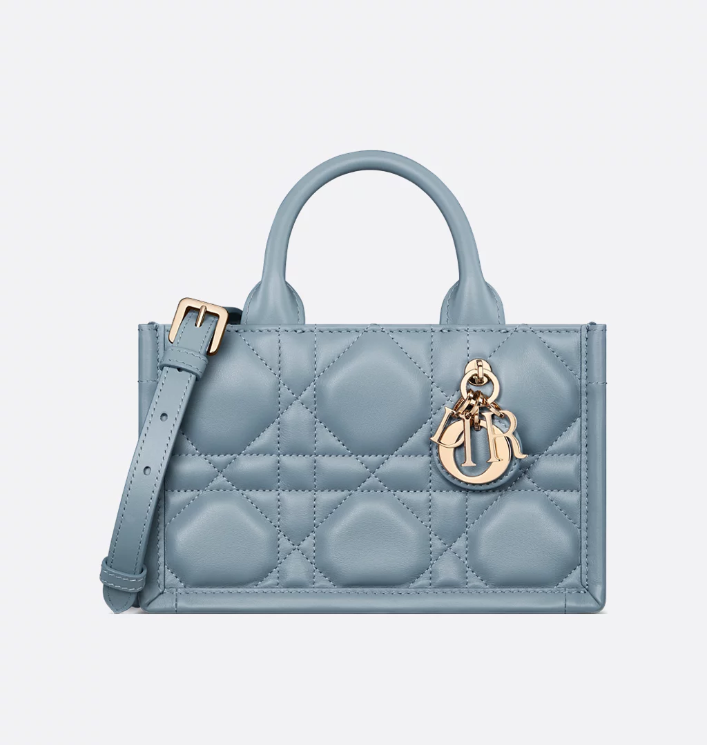 Dior Book Tote