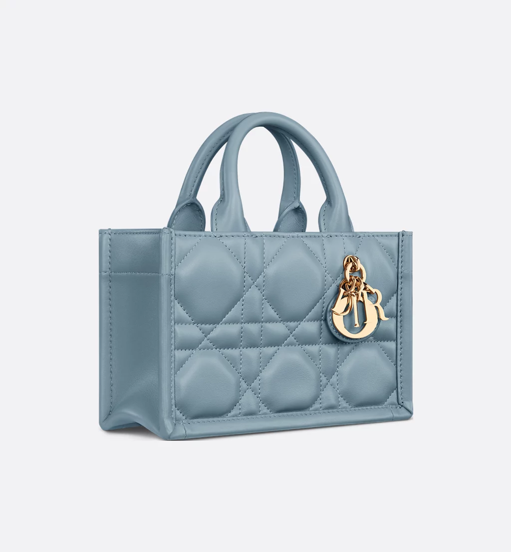 Dior Book Tote